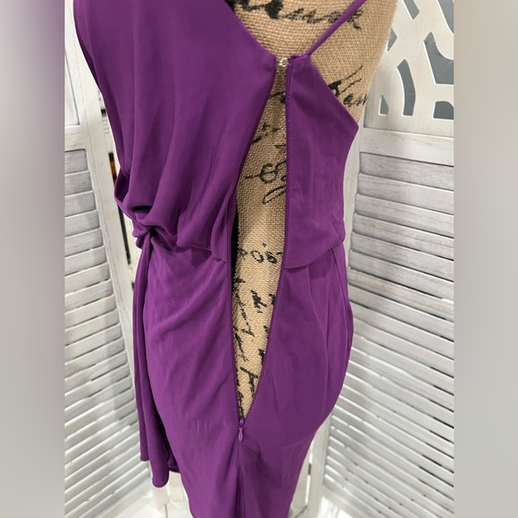 Haute Hippie Purple Kaitlin Silhouette Wrap Front Dress - Picture 10 of 13